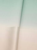 【新作】4倍使える両面帯揚 銀霞 薄香色×若緑[紅衣オリジナル]